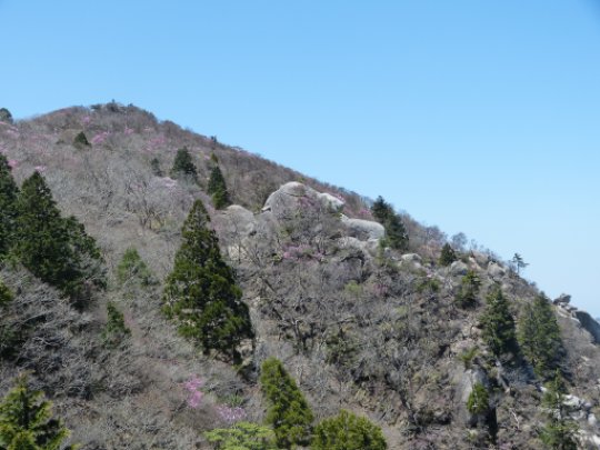 画像49